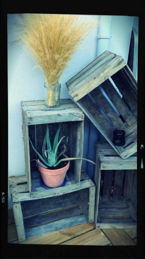 Les Ricochets - Maison D'Hotes Saint-Denis-les-Martel ภายนอก รูปภาพ